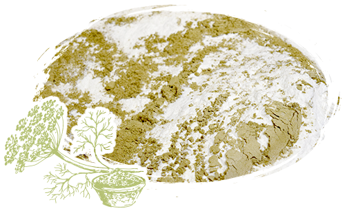 日野製薬の伝統薬