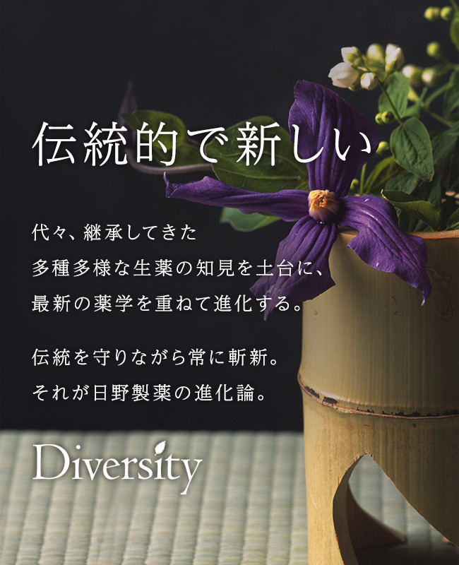 伝統的で新しい 代々、継承してきた多種多様な生薬の知見を土台に、最新の薬学を重ねて進化する。伝統を守りながら常に斬新。それが日野製薬の進化論。