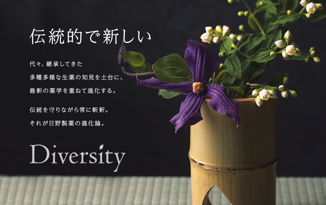伝統的で新しい 代々、継承してきた多種多様な生薬の知見を土台に、最新の薬学を重ねて進化する。伝統を守りながら常に斬新。それが日野製薬の進化論。
