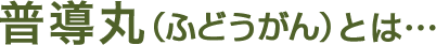 普導丸（ふどうがん）とは
