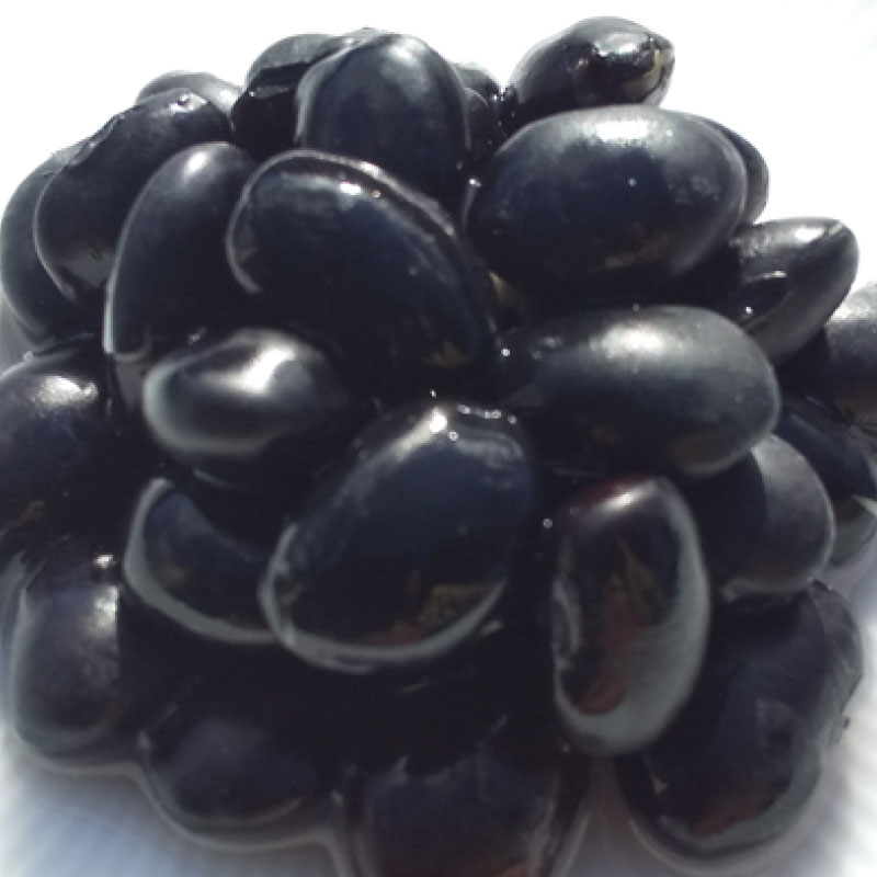 【乾燥豆】豆とりどり 黒豆