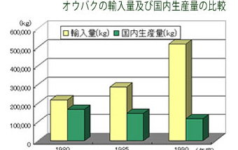 オウバクの輸入量および国内生産量の比較