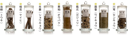 普導丸(ふどうがん)配合の生薬