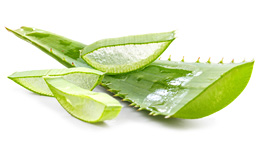 アロエ