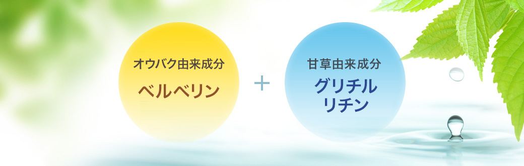 【ベルベリン】オウバク由来成分【ベルベリン】/カンゾウ由来成分【グリチルリチン】