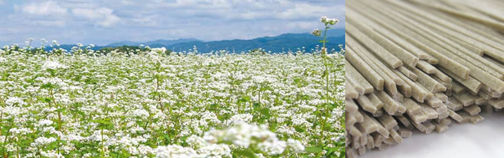 御嶽山麓土産 木曽の山芋そば(平打ち麺)